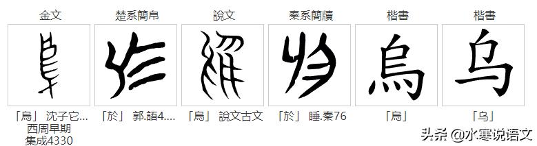 从“鸟”和“乌”的区别说起，追根溯源，发现汉字之美