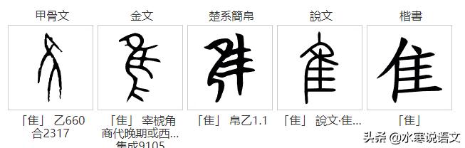 从“鸟”和“乌”的区别说起，追根溯源，发现汉字之美