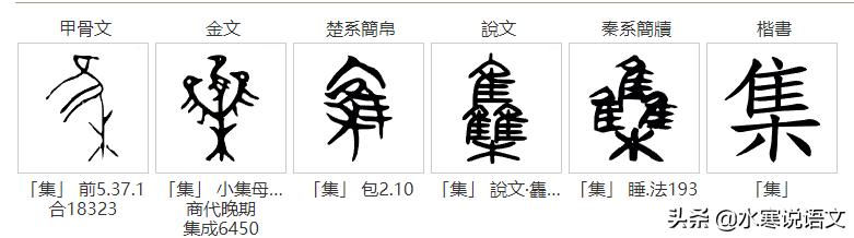 从“鸟”和“乌”的区别说起，追根溯源，发现汉字之美