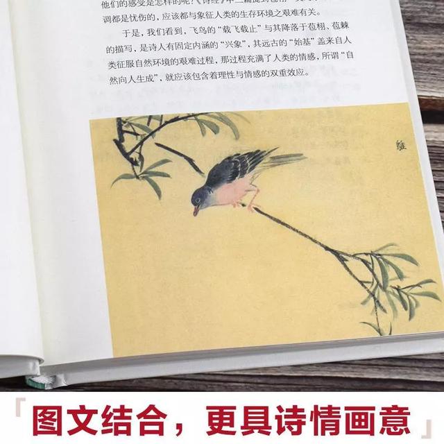 美了一千年，屠呦呦、林徽因、琼瑶，这些优美的名字都来自这里