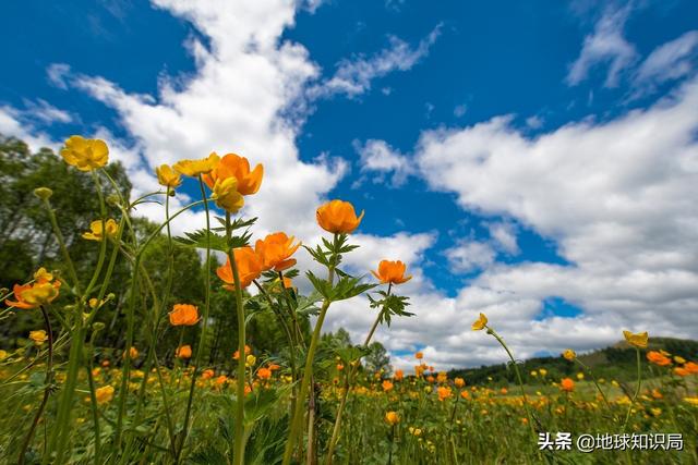 民族文化的没落，原来名字有这么多讲究 | 地球知识局