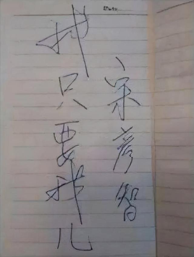 坚强母亲张雪霞：儿子被拐丈夫抑郁自杀，25年后才知：网友是儿子