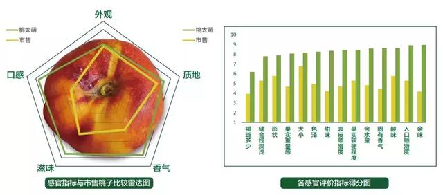 王母用它来宴请众仙，到底是什么神仙味道？