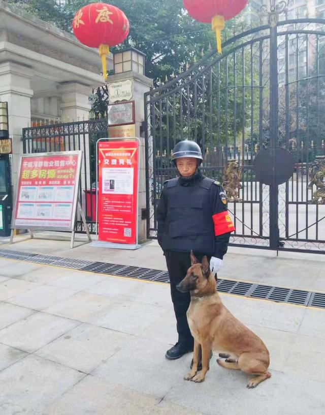 荣膺四川首批“百佳示范小区”温江这个小区可“犬”可点