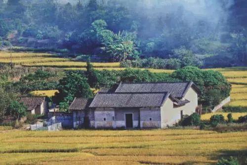 约起约起！广州这12个清凉避暑的古村落，全！部！免！费！
