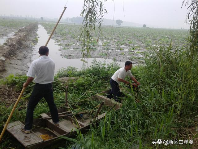 白洋淀人家（五十七）：詹得利找小寡妇鬼混，钟景祥陪秀苇姑拿钱