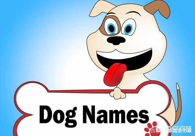给狗狗取名字要知道哪些事？
