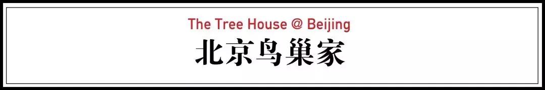 北京最奇葩学区房，没有床、没有沙发、没有电视，儿童房是鸟窝