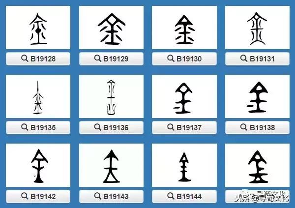 金-汉字的艺术与中华姓氏文化荀卿庠整理