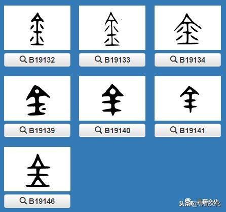 金-汉字的艺术与中华姓氏文化荀卿庠整理