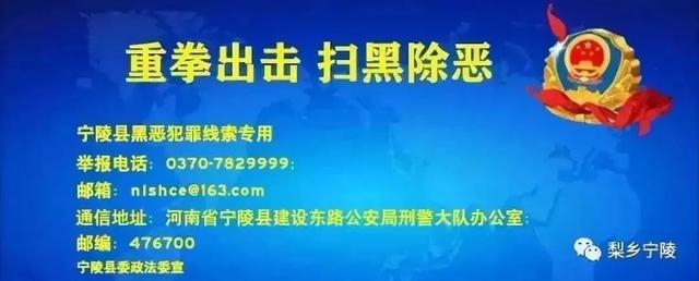 老家在宁陵｜这个村是因为乔姓居多而命名的吗？