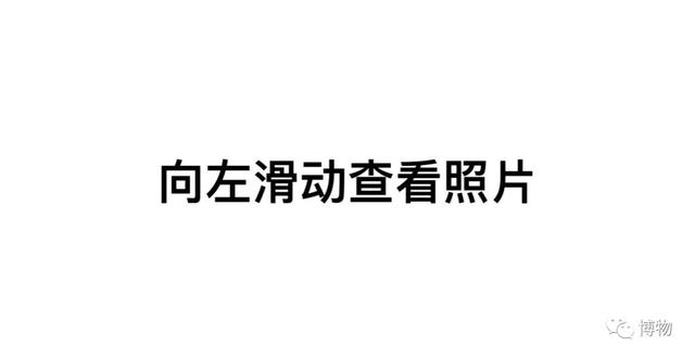 用来下蛊的虫，现实中真的存在吗？