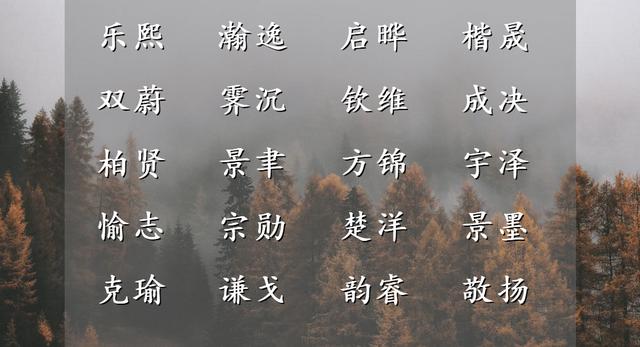 帅气到骨子里的男孩名字，洋洋洒洒，个性独特