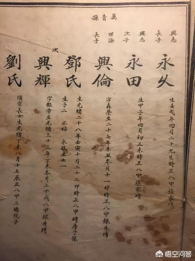 家谱是怎么排的？