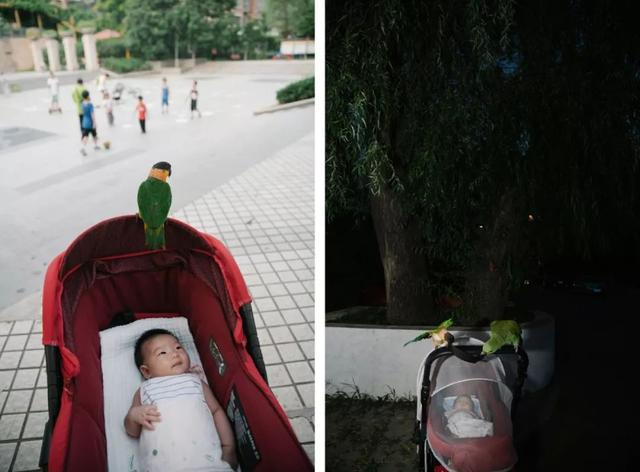 六一儿童节，客居北京的摄影师，用镜头记录女儿的降生