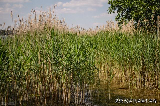 国学经典之《汉书》导读第二百七十三讲：志·五行志中二