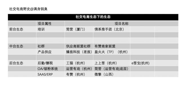 深度剖析｜中国社交电商野史