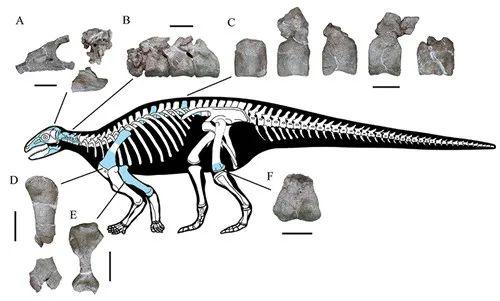 亚洲最早的有甲类恐龙“现身”云南