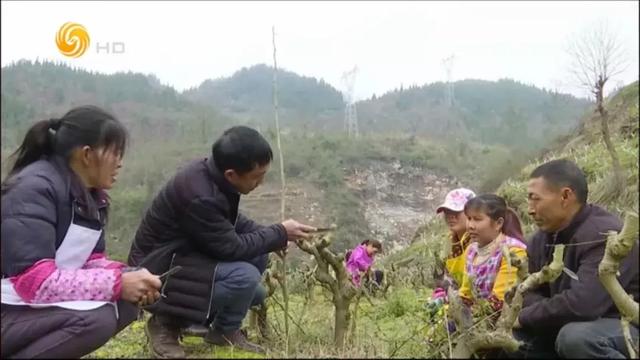 那些旅游胜地，原来也是国家贫困县？