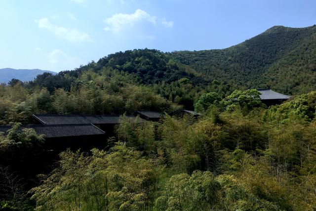 国际茶日，了解一下顾渚山的唐代贡茶