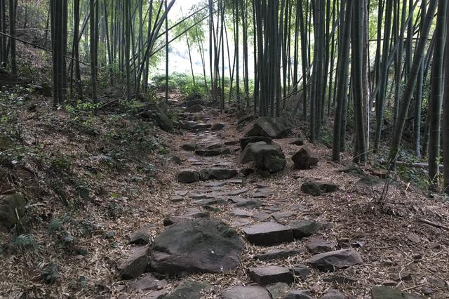 国际茶日，了解一下顾渚山的唐代贡茶