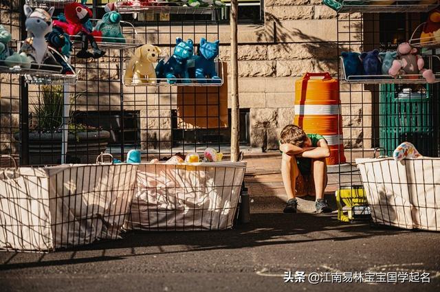 有出处典故的女孩名字：诗经楚里唯美诗意的女孩名，美不胜收