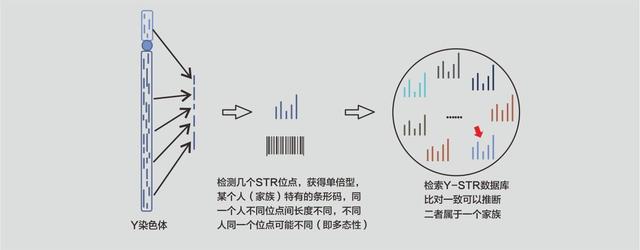 祖先陪葬文物归国家还是后人？曾祖父墓葬被盗，陪葬品却不归子孙