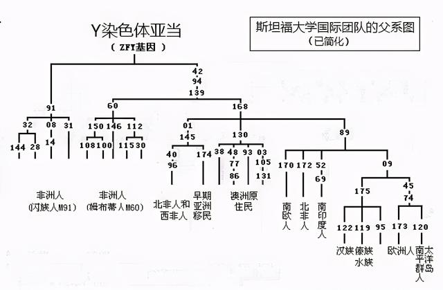 祖先陪葬文物归国家还是后人？曾祖父墓葬被盗，陪葬品却不归子孙