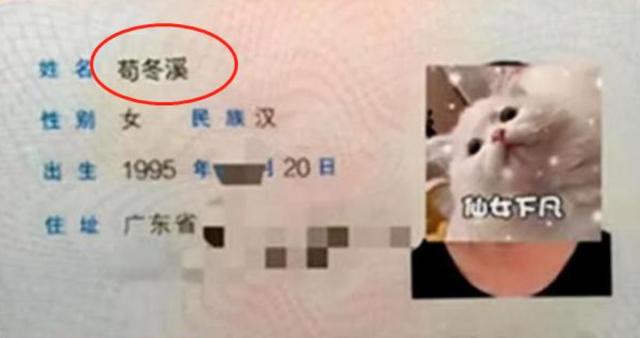 小学女生名字太特殊，同学给她起外号“π姐”，这届家长真有才