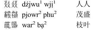 孙伯君 | 中国民族古文字的文字学意义