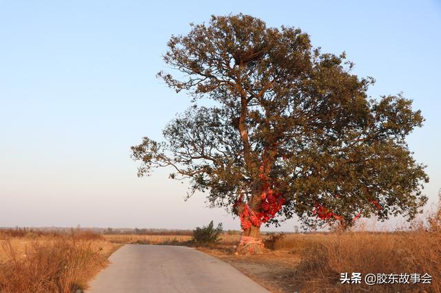 组图：威海文登有个“脉田”村，因为生产“糖瓜”而闻名