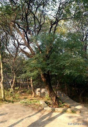 「临沂·名胜古迹」兰陵县大宗山朗公寺