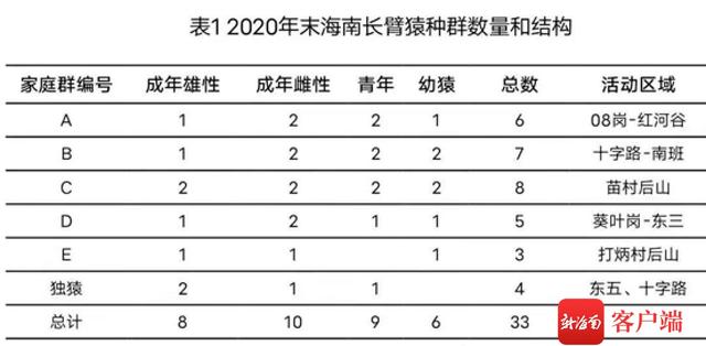 两只海南长臂猿宝宝取名为猿海、猿南