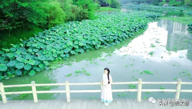 福建最新姓氏排名出炉！这十大姓氏人口最多