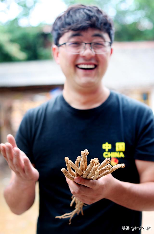 从北京返乡的90后村官，和他的猪，一起红了