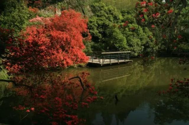 【青峰】这座避暑名山，浓郁秋色像是大自然打翻的颜料盘