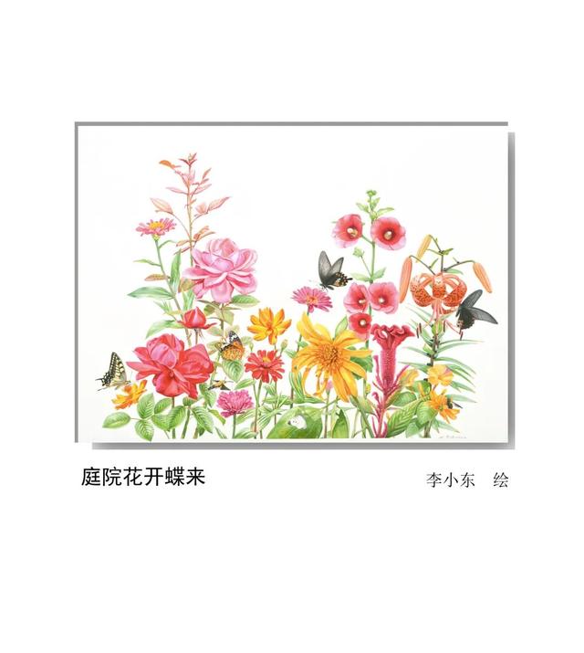 LIAN.影响世界的中国植物——2020年博物绘画全国巡展杭州植物园站（三）