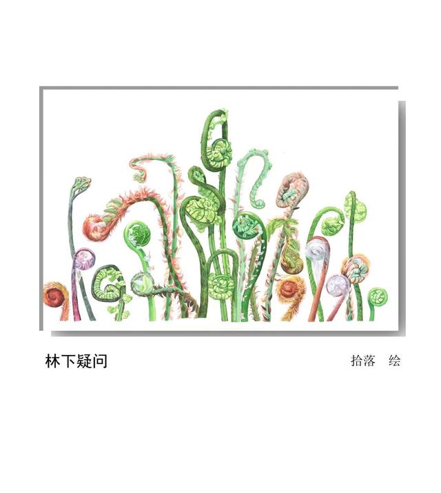 LIAN.影响世界的中国植物——2020年博物绘画全国巡展杭州植物园站（三）