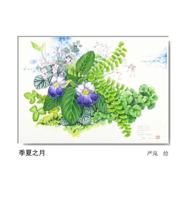 LIAN.影响世界的中国植物——2020年博物绘画全国巡展杭州植物园站（三）