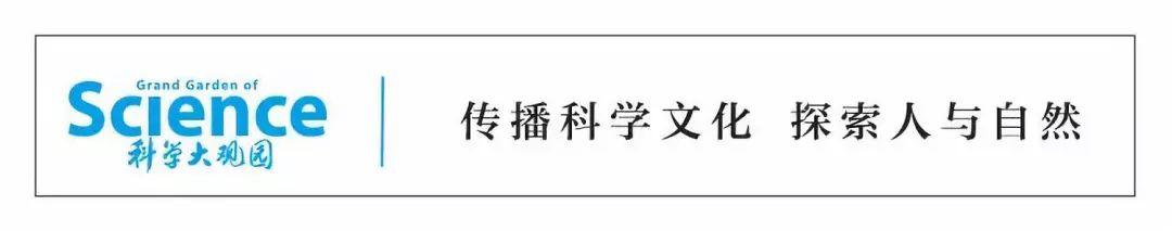 子涵、梓涵和紫涵……为啥给孩子起名越来越大众化？内有科学门道