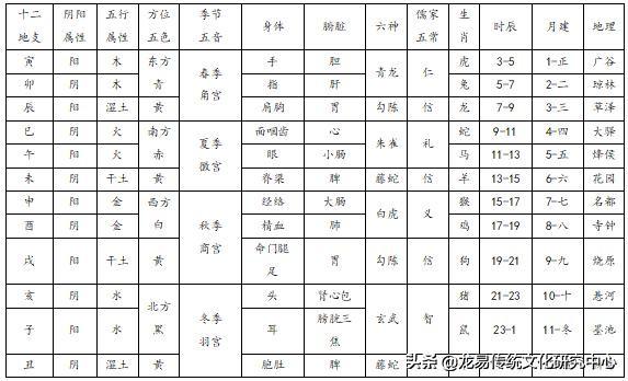 地支的阴阳属性及运行规则是什么？