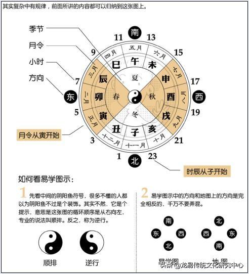 地支的阴阳属性及运行规则是什么？