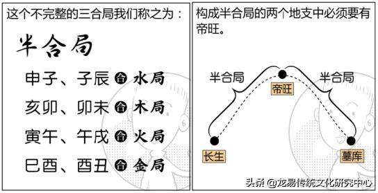 地支的阴阳属性及运行规则是什么？