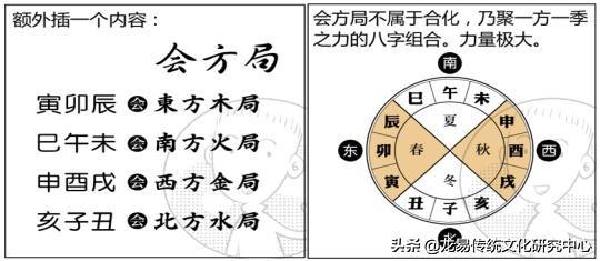 地支的阴阳属性及运行规则是什么？