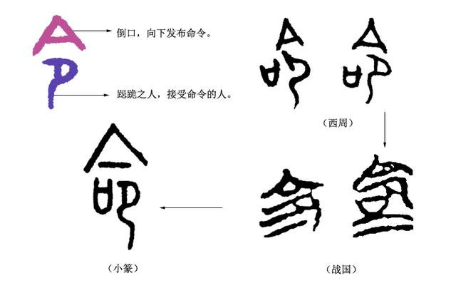 《说文解字》第160课：细说“命”字