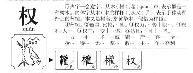 10个带「权」字冷门少见的宝宝名，钟灵毓秀