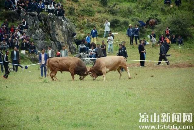 【全域旅游】“清凉夏日·燃情火把” 不断擦亮大凉山文化旅游品牌