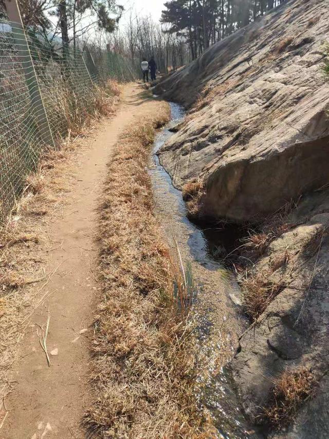 泰安市大汶口镇各村情况介绍：大汶口乡村