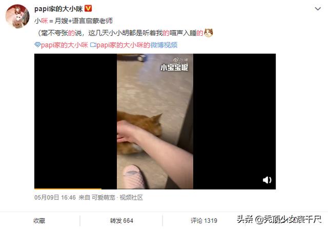 只因孩子随父姓papi酱被骂，这锅独立女性不背