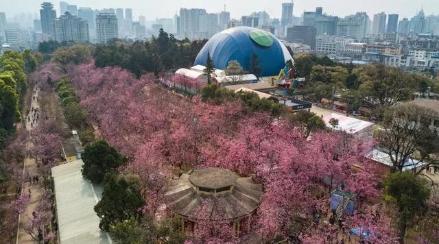 最全的昆明地名由来大全，每一个地方都有故事